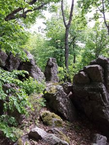 descriptions.images.surroundings/crni_vrh_i_vrani_kamen/11150912_878927452165664_857384013637044476_n.jpg
