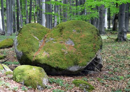 descriptions.images.surroundings/vrazji_mlin/13029495_1060111047380636_6616304768571151272_o.jpg
