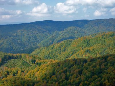 descriptions.images.surroundings/vrh_papuka/13.jpg